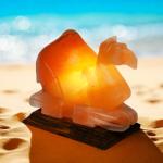 Hand-Crafted Himalayan Camel Shape Salt Lamp - 2/3kg | Natural Air Purifier & Gentle Night Light