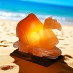 Hand-Crafted Himalayan Camel Shape Salt Lamp - 2/3kg | Natural Air Purifier & Gentle Night Light