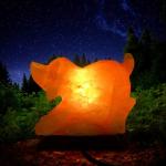 Hand-Carved Himalayan Dog Shape Salt Lamp - 2/3kg | Premium Ionic Air Purifier & Soothing Night Light