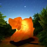 Hand-Carved Himalayan Dog Shape Salt Lamp - 2/3kg | Premium Ionic Air Purifier & Soothing Night Light