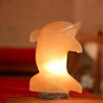 Himalayan Pink Salt Dolphin Lamp - 2/3kg with 15W Bulb | Natural Air Purifier for Home Decor