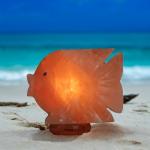 Hand-Crafted Himalayan Fish Shape Salt Lamp - 2/3kg | Unique Decor with Natural Air Purification