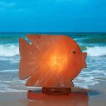 Hand-Crafted Himalayan Fish Shape Salt Lamp - 2/3kg | Unique Decor with Natural Air Purification