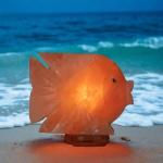 Hand-Crafted Himalayan Fish Shape Salt Lamp - 2/3kg | Unique Decor with Natural Air Purification