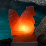 Hand-Crafted Himalayan Hen Shape Salt Lamp - 2/3kg | Natural Air Purifier with Calming Glow