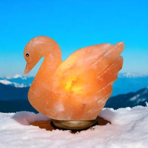 Himalayan Swan Shape Salt Lamp - 2/3kg | Handcrafted Air Purifier & Elegant Home Decor