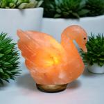 Himalayan Swan Shape Salt Lamp - 2/3kg | Handcrafted Air Purifier & Elegant Home Decor