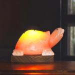 Handcrafted Himalayan Turtle Shape Salt Lamp - 3/4kg | Natural Air Purifier & Tranquil Home Decor with Dimmer Switch