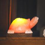 Handcrafted Himalayan Turtle Shape Salt Lamp - 3/4kg | Natural Air Purifier & Tranquil Home Decor with Dimmer Switch