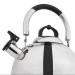 Grazing Kettle 5L Stainless Steel Whistling Tea Kettle - Durable & Eco-Friendly