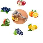 Manual Fruit Juicer Alloy Fruit Press, Lemon Squeezer Home And Multipurpose Usage