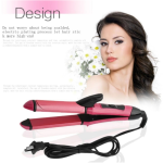 Professional 2009 Hair Straightener & Curler